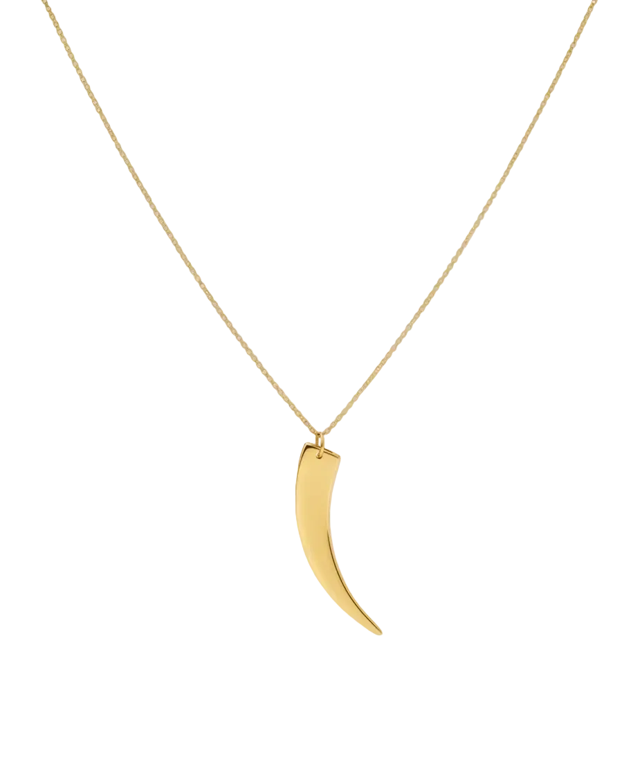 Claw Pendant